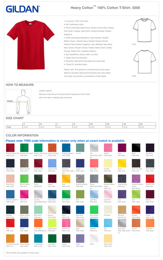 APIS - Gildan Heavy Cotton T-Shirt
